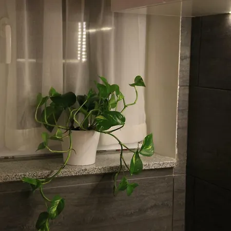 Franov With Pool, 10 Min From The Old Town Of Zadar