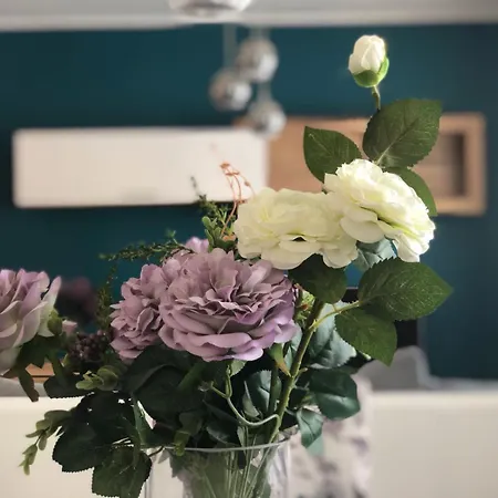 Franov With Pool, 10 Min From The Old Town Of Zadar